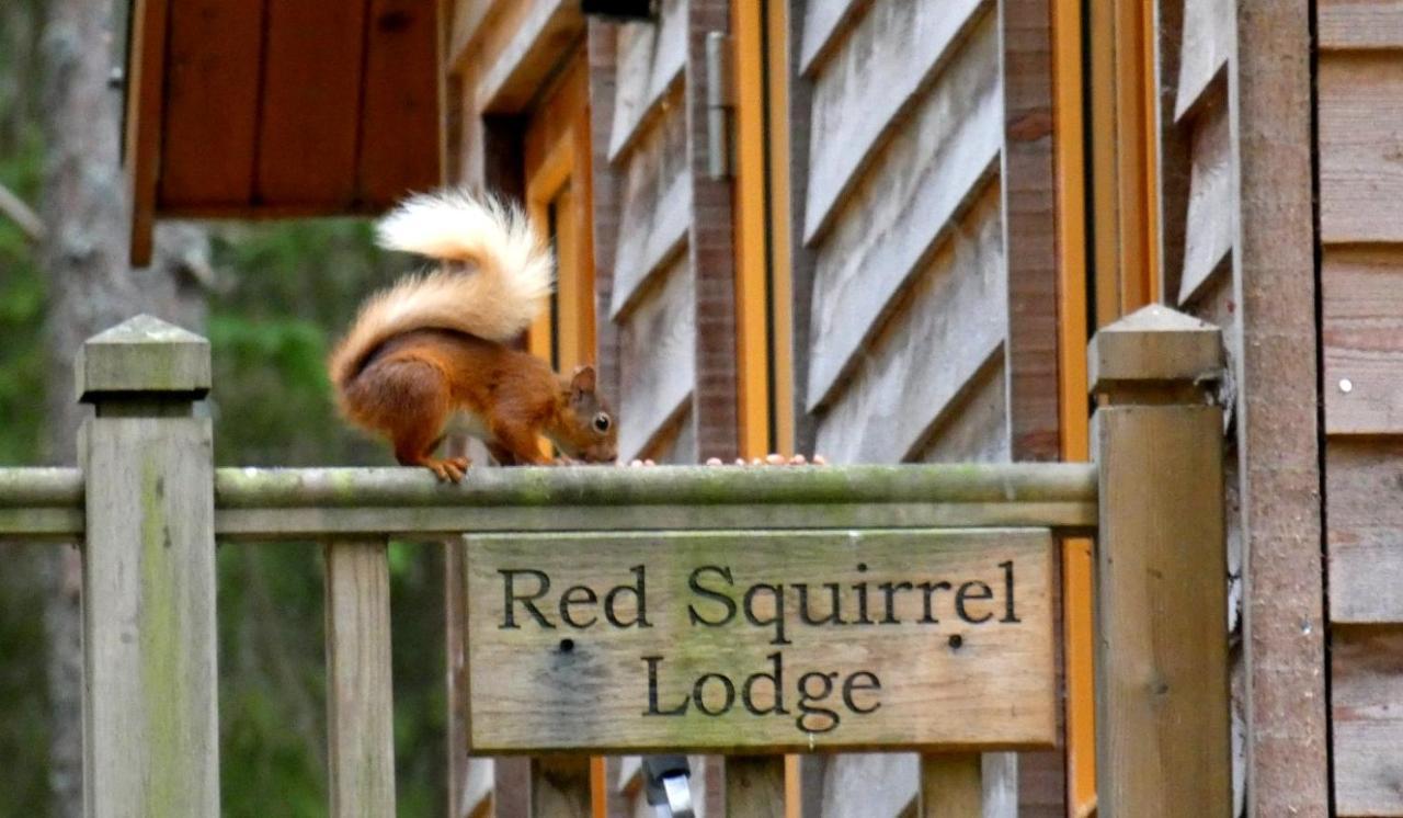 Cairngorm Lodges Aboyne Exterior foto