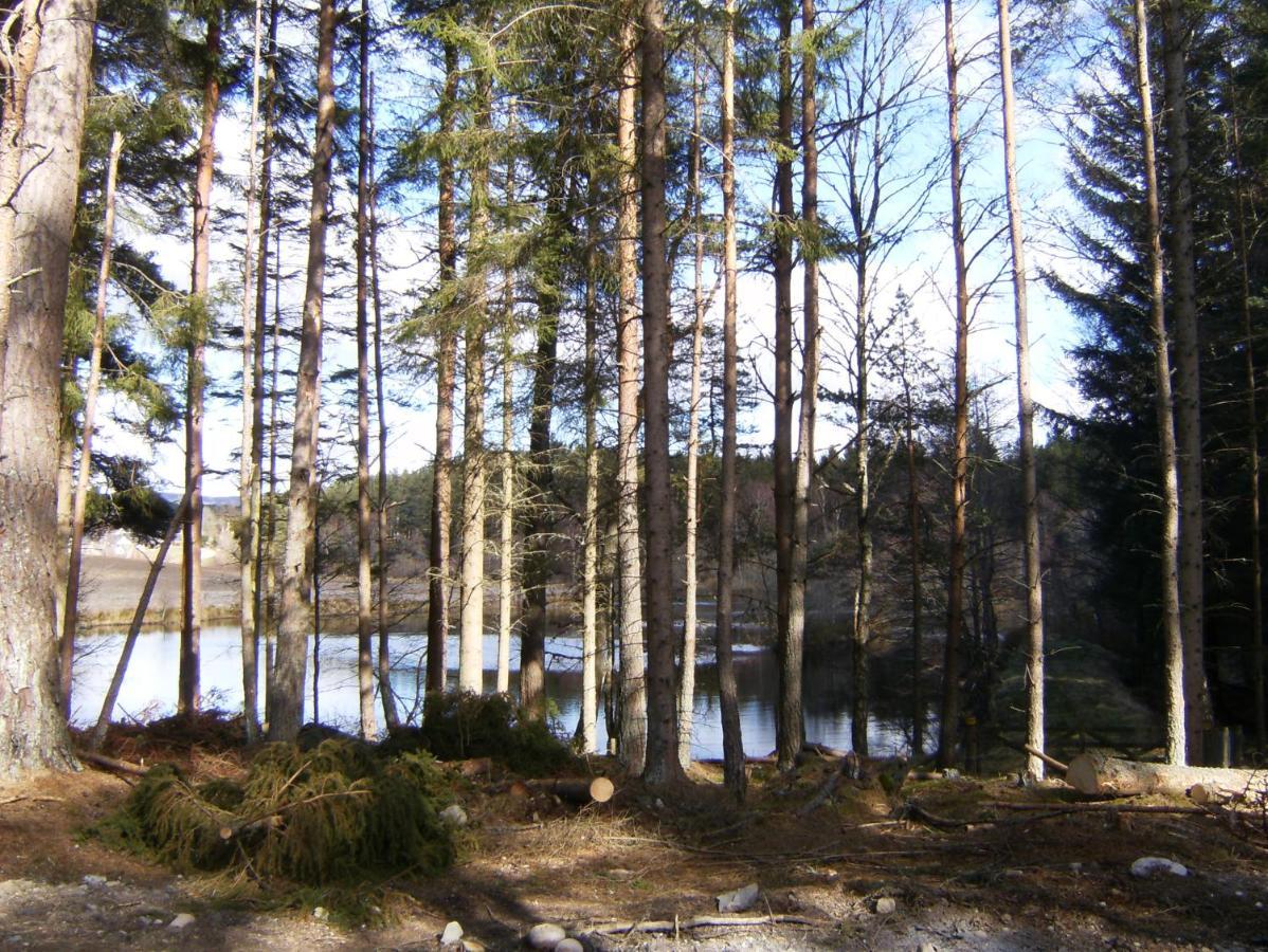 Cairngorm Lodges Aboyne Exterior foto