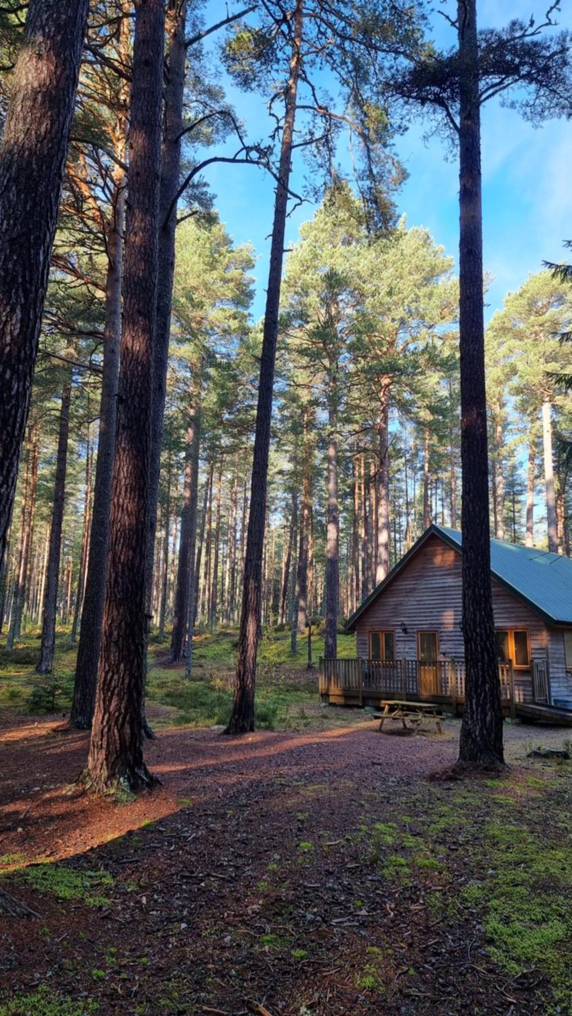 Cairngorm Lodges Aboyne Exterior foto