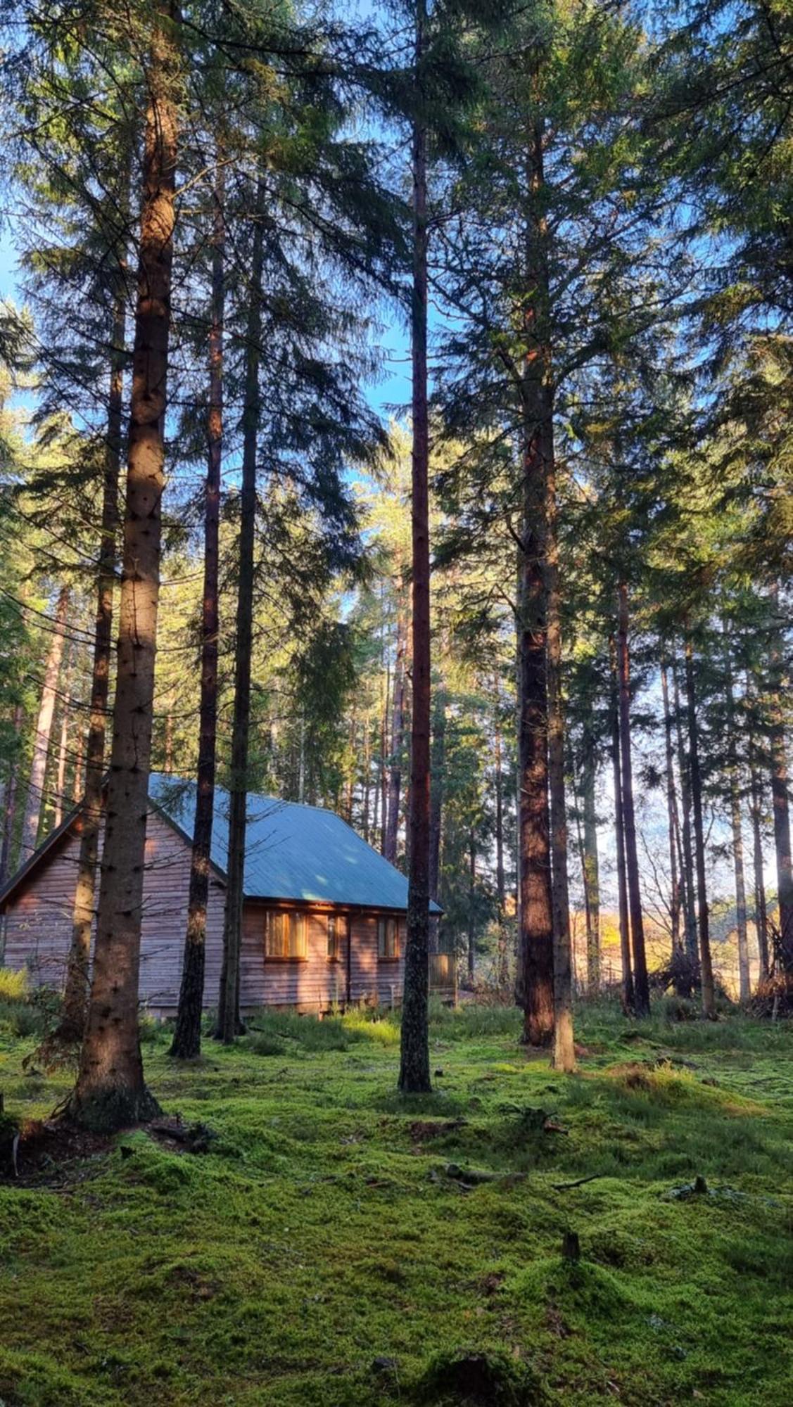 Cairngorm Lodges Aboyne Exterior foto