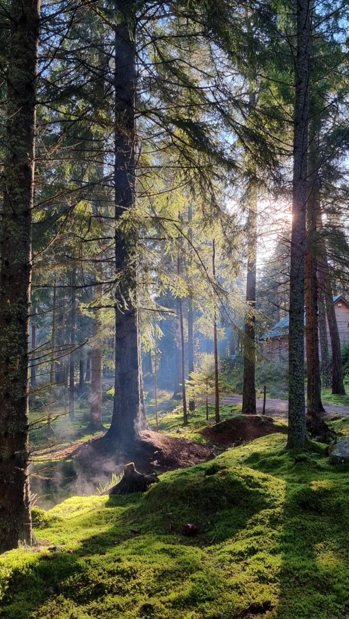 Cairngorm Lodges Aboyne Exterior foto